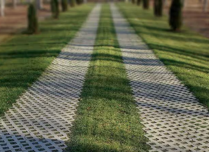 Driveway Turf