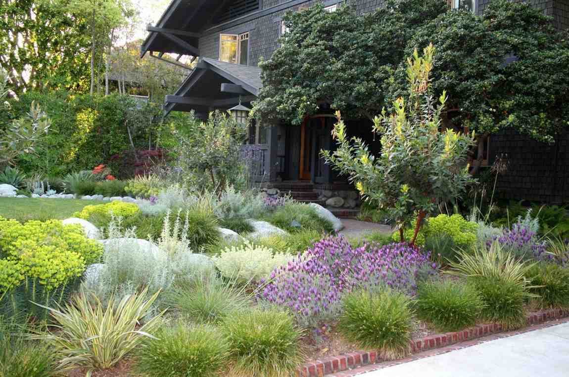 native plants Daly City