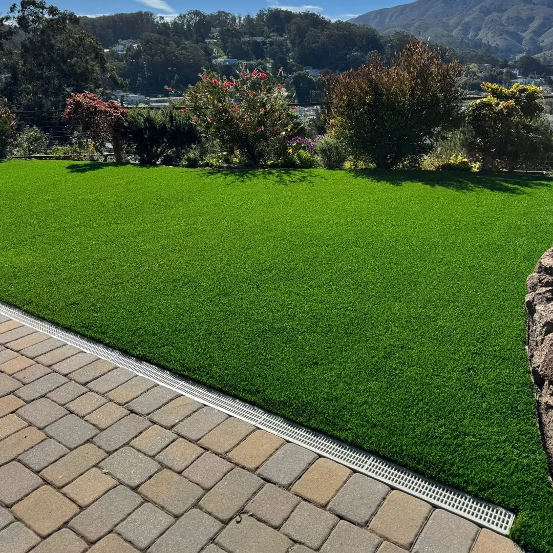 Landscape 2