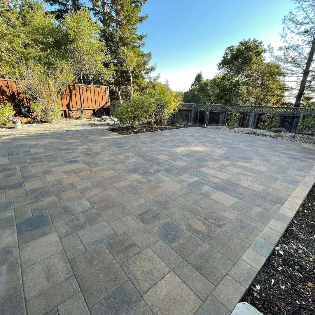 WhatsApp Image 2026-04-10 at 11.45.16 AM