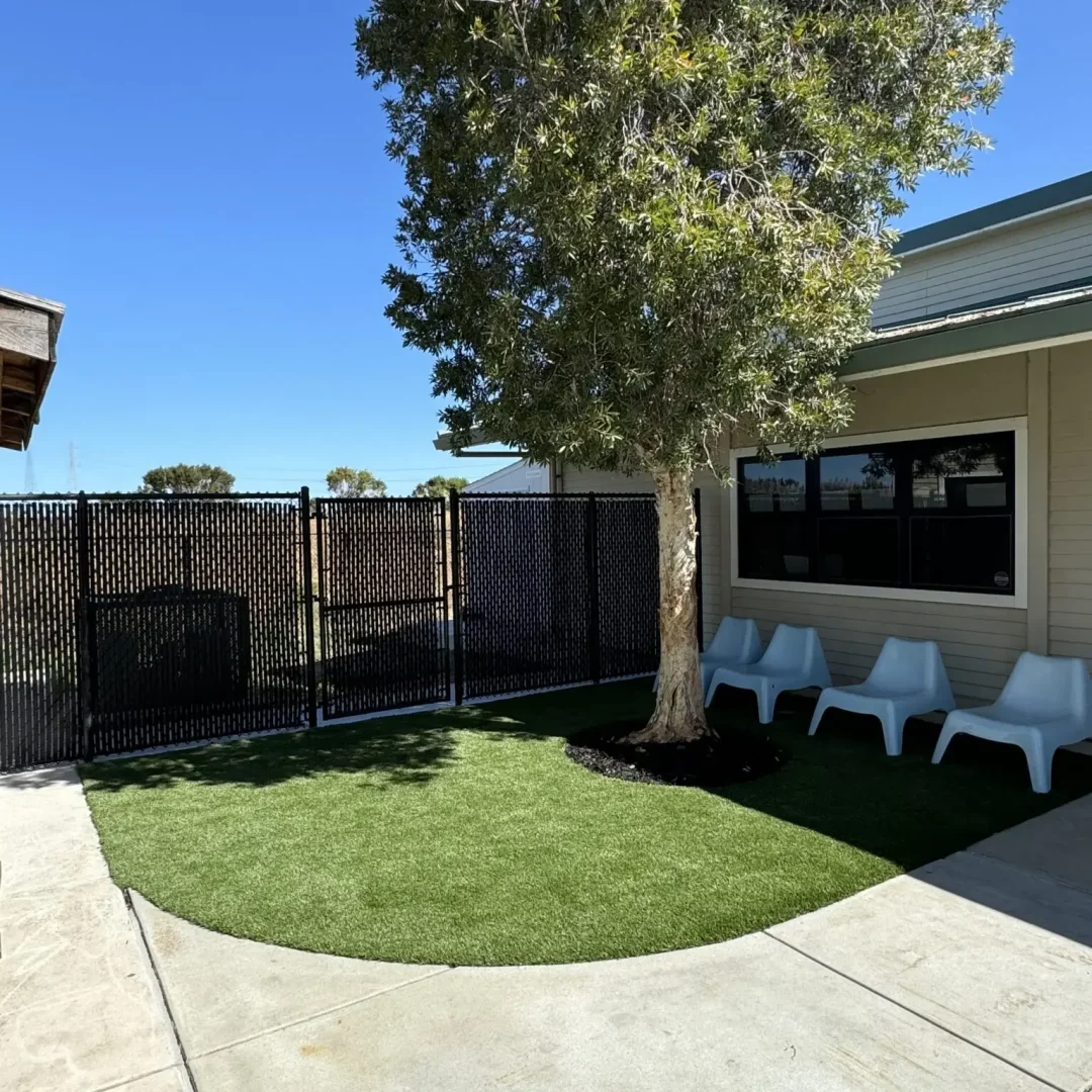 #1 Reliable Turf and Sod Installation in Daly City, SF