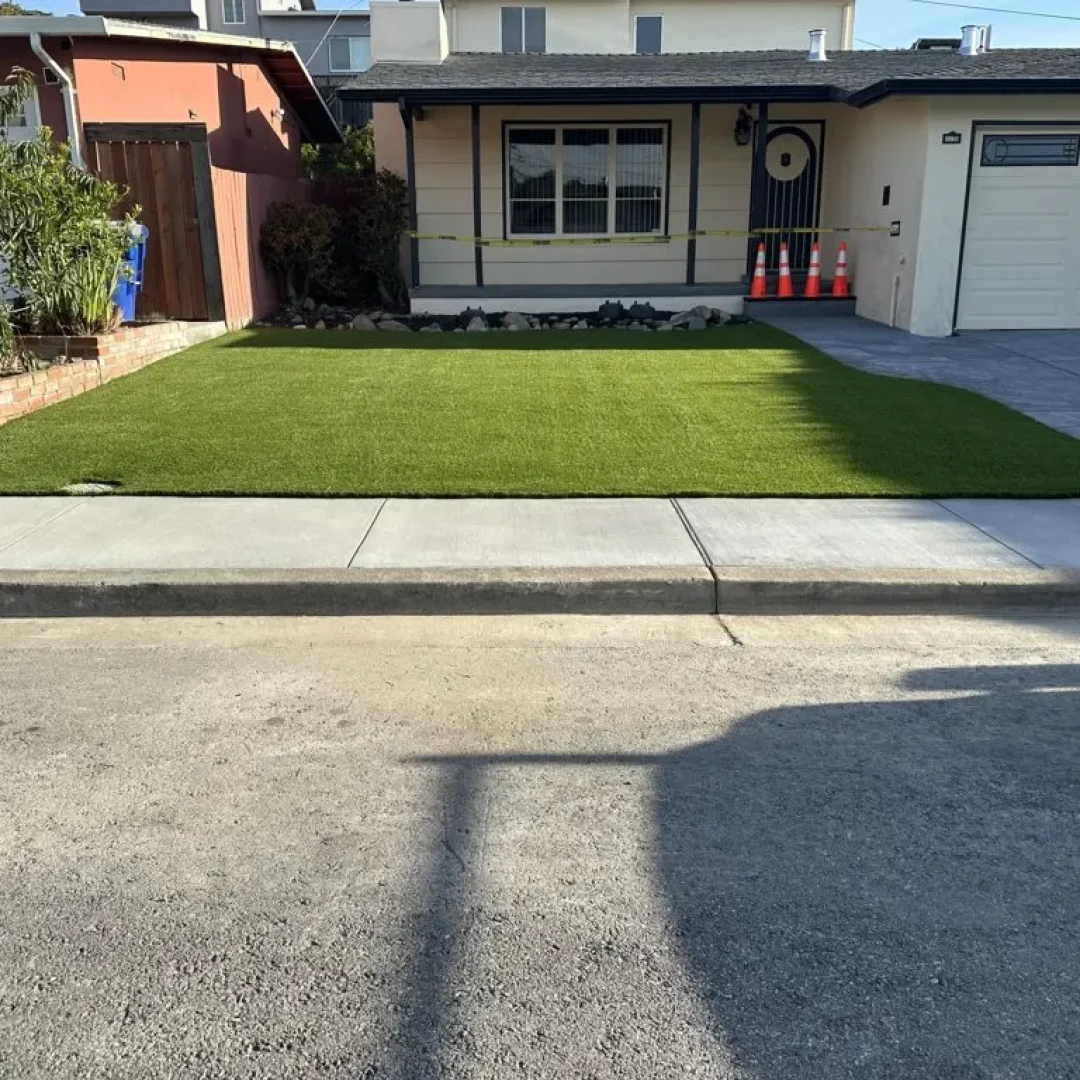 trimmed turf lawn