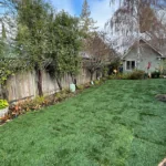 458e66_c38225916ff04d3b8f8724241e040fba~mv2