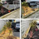 458e66_f8939f6973434561b2bc2e4fd0753281~mv2