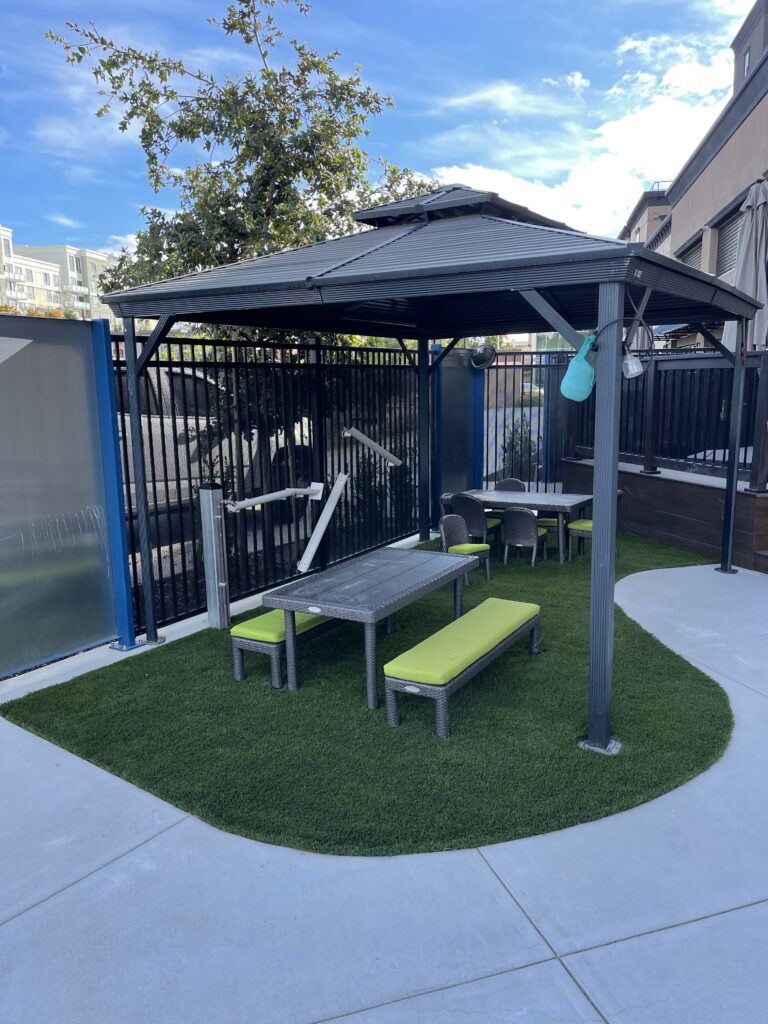 Sloped Backyard