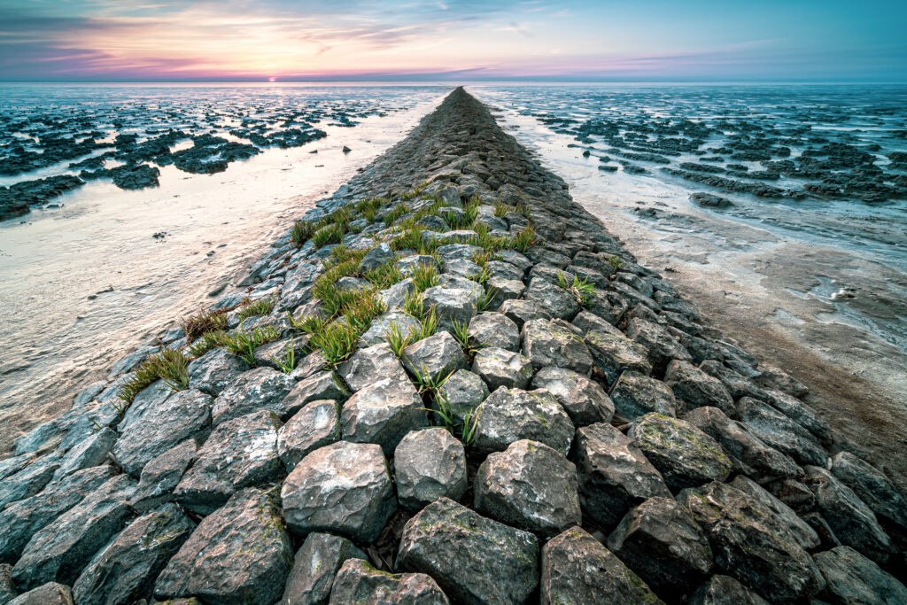 large stepping stones for walkway