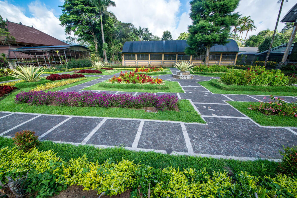 Low Maintenance Backyard Landscaping Ideas