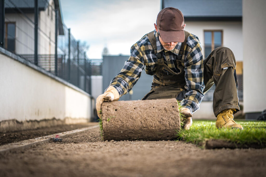 Sod installation