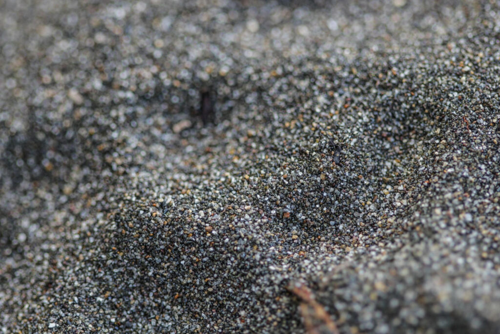 what to put in between pavers