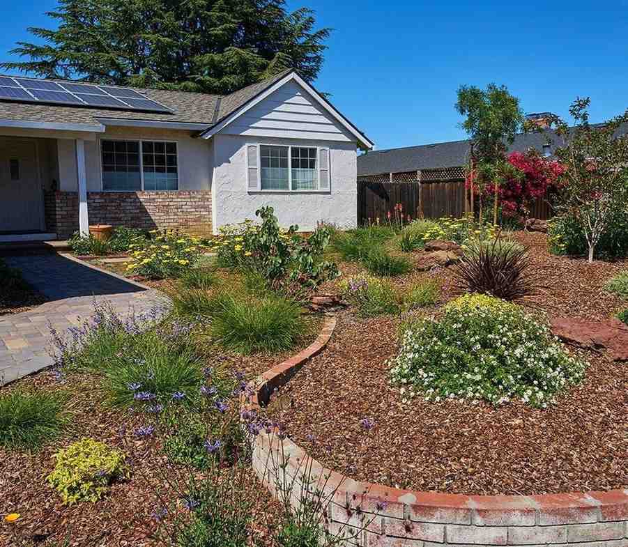 drought-tolerant-landscaping-Bay-Area