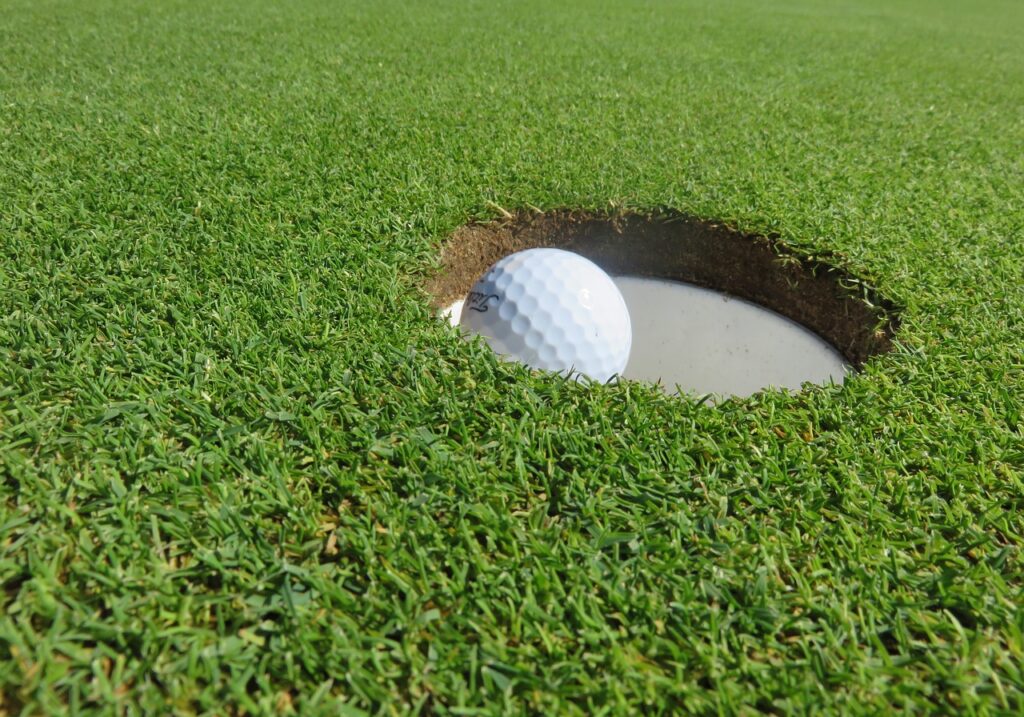 Backyard putting green: a small golf green with a flag on a home lawn