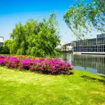 6bfc9315bc1c4acc98a95db1b8b0c041b43ecbf7